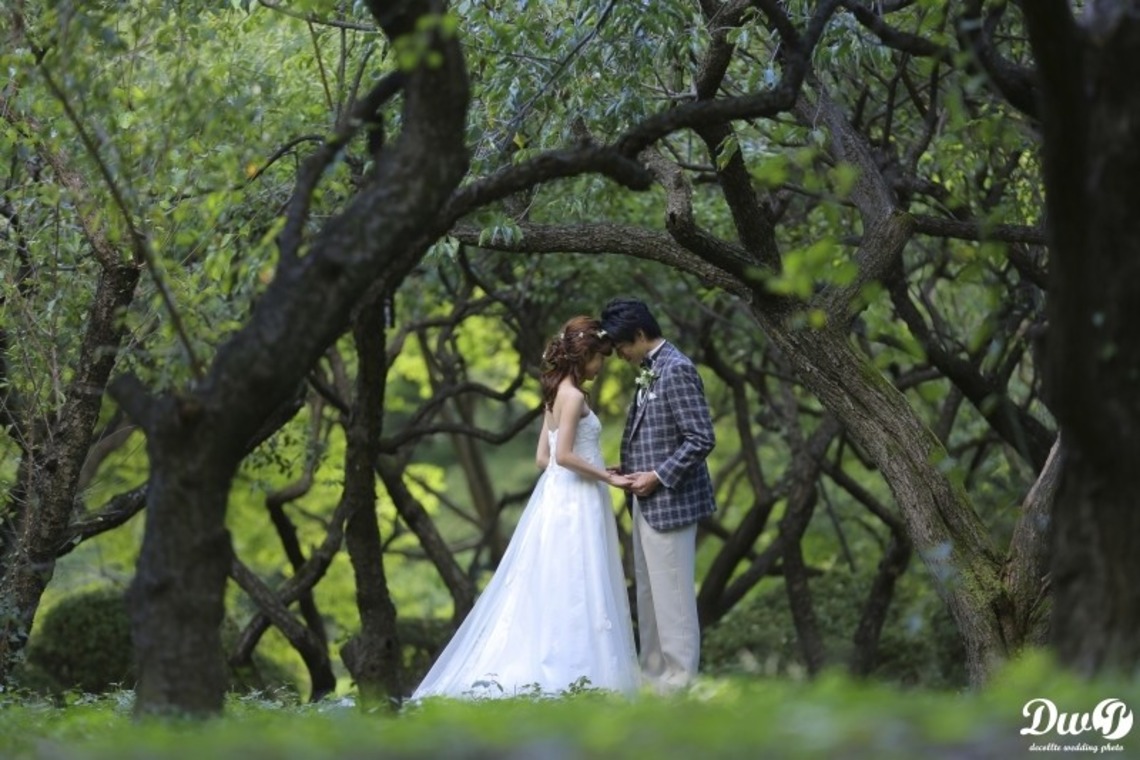 STUDIO Giroux (水間寿也)が撮影した「フォトギャラリー」の写真