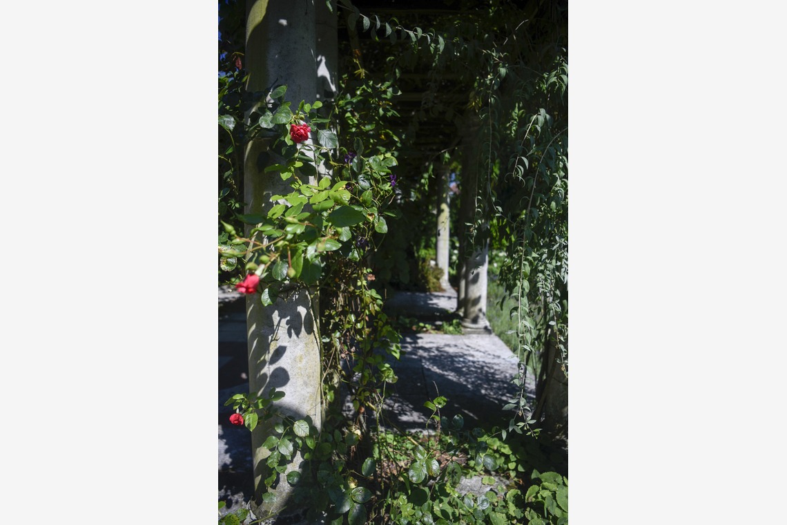 Lucky Sliver Sixpence