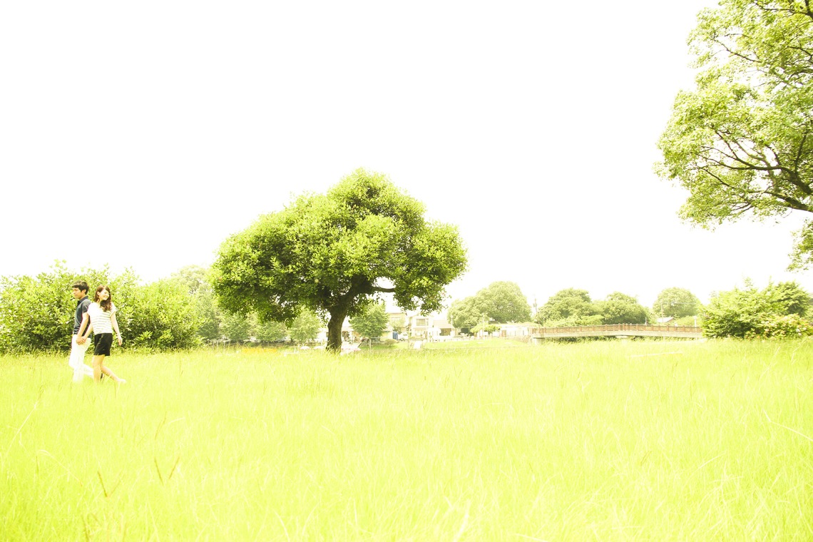 Luce photo studio (本間 孝敏)が撮影した写真のアルバム「エンゲージメントフォト」