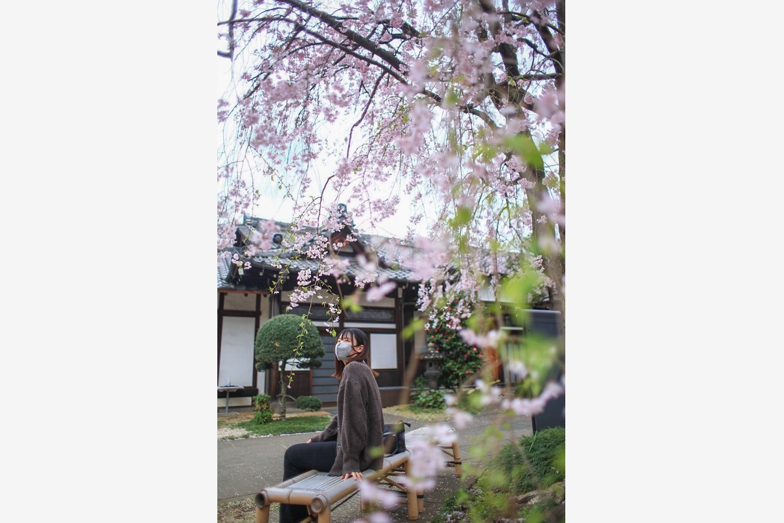 小林　幸之助が撮影した写真のアルバム「これまでの実績」