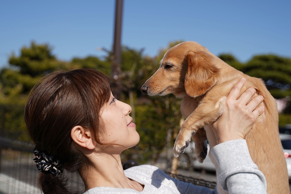 出張撮影くろめっとが撮影した写真のアルバム「動物病院例」