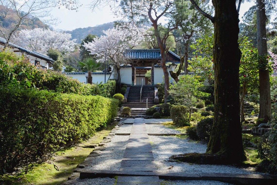 kiharu&photoが撮影した「風景【ロケ撮影】」の写真