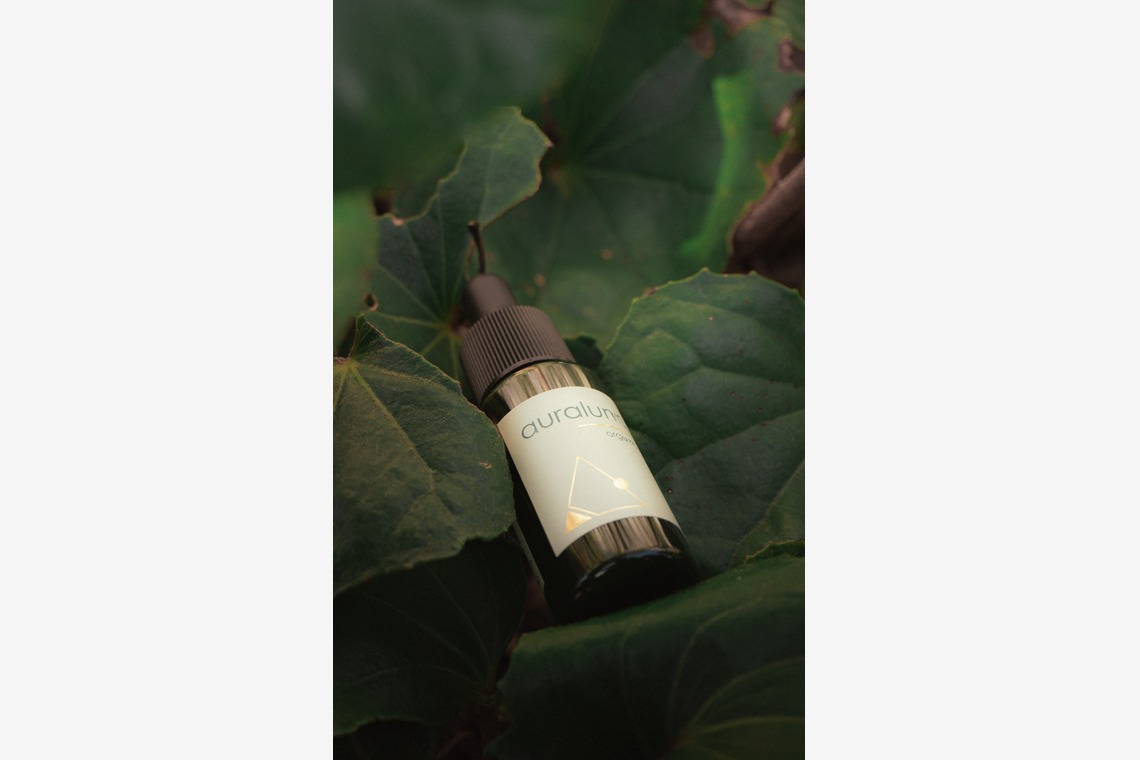 S＆Iが撮影した写真のアルバム「イベント撮影」