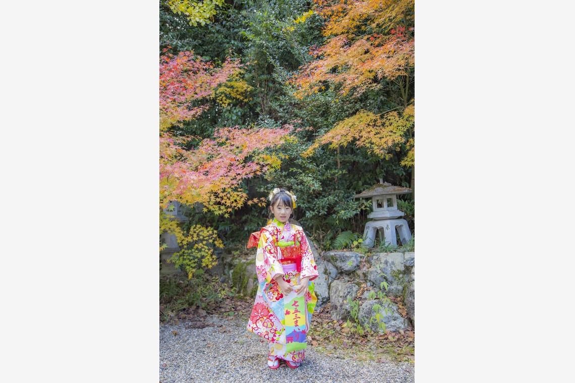 PHOTO 笑福が撮影した写真のアルバム「七五三撮影」