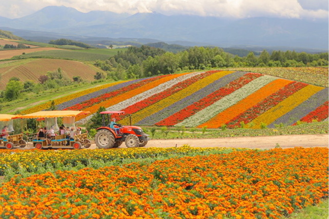 芳賀 翔大が撮影した「北海道」の写真