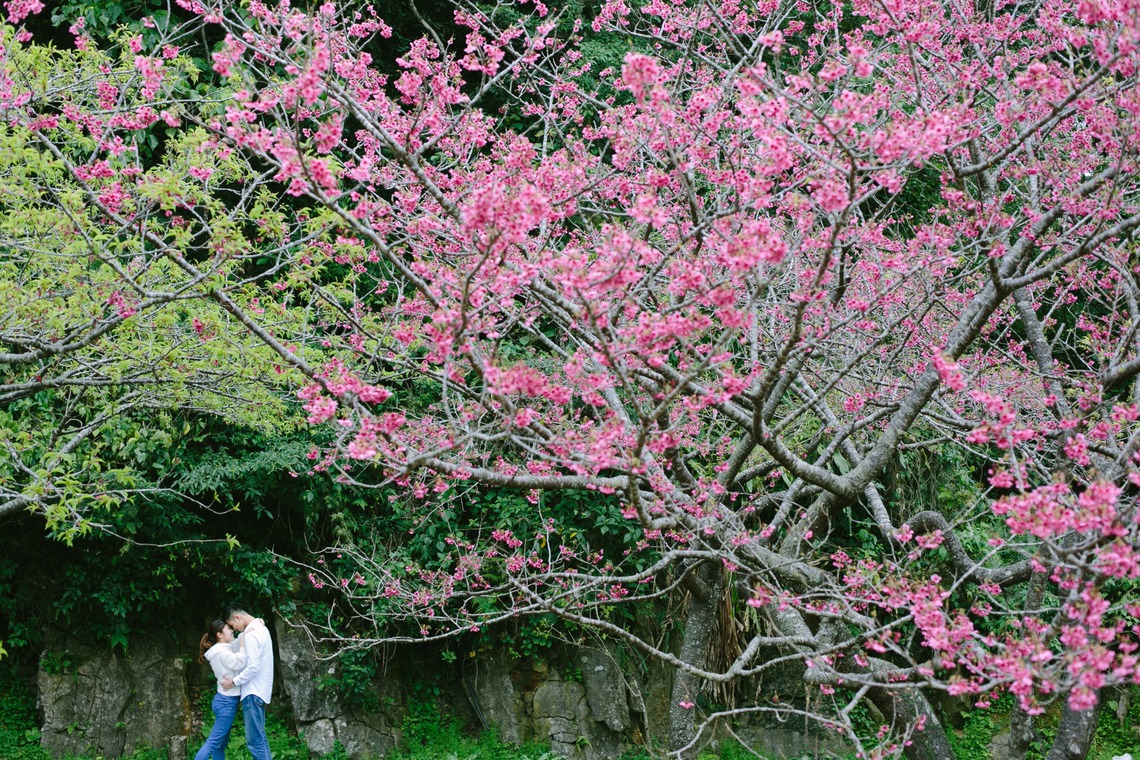 Koji Nishida Photographyが撮影した写真のアルバム「Engagement Okinawa」