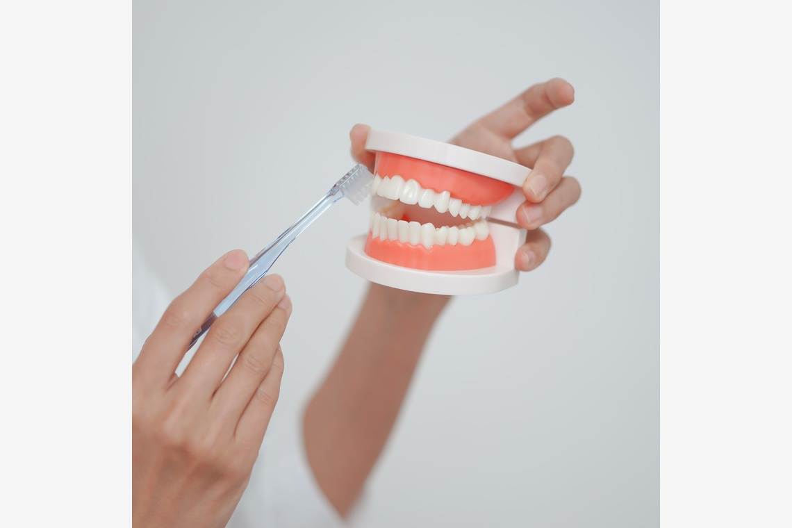 合同会社Joy Stormが撮影した「診察風景、院内撮影」の写真