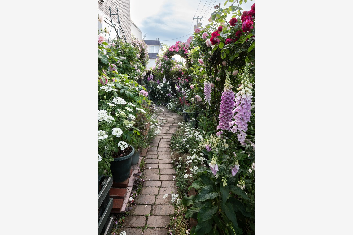 オフィス 芦野が撮影した「番外編（自宅）」の写真