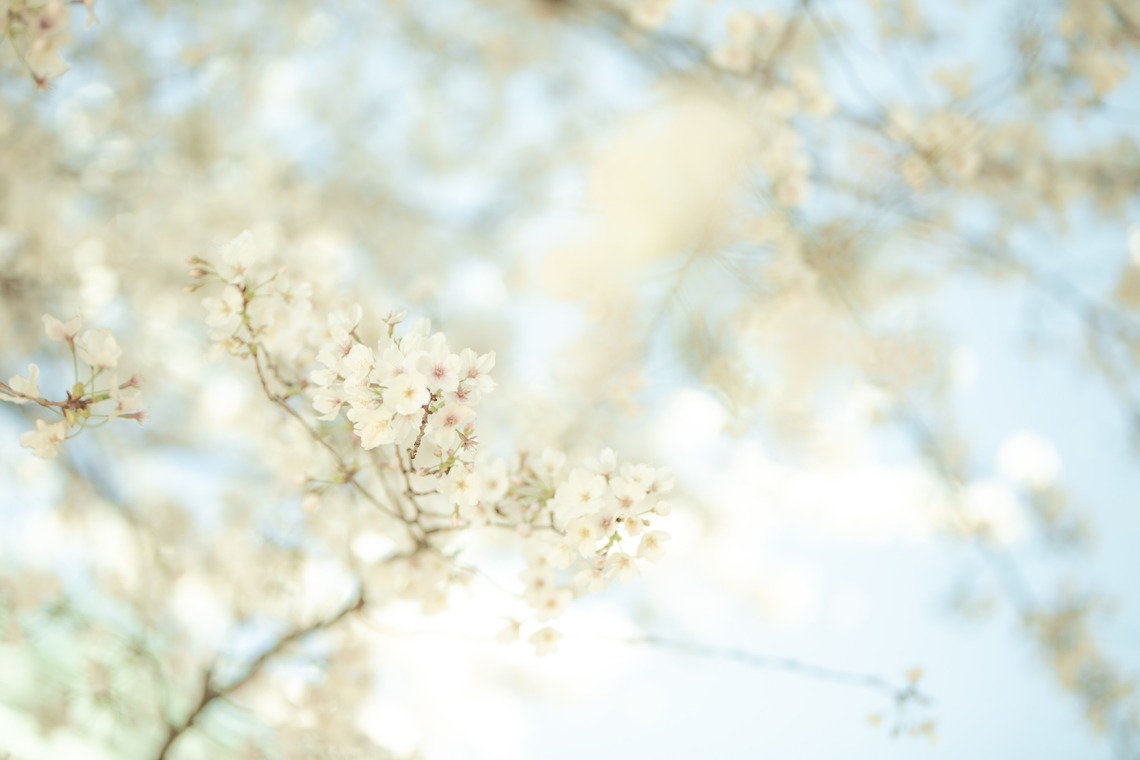 木村　智が撮影した写真のアルバム「」