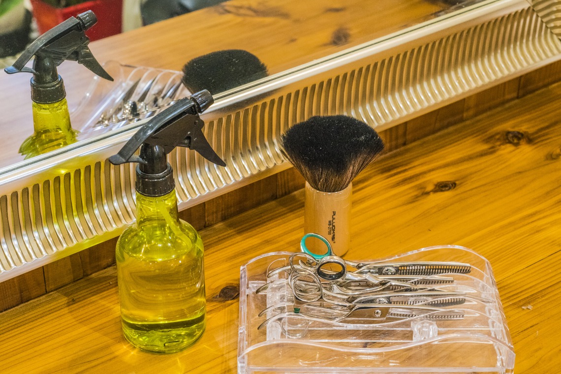 リトルダイナソー