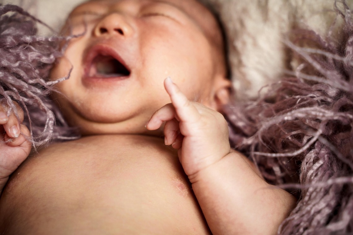 Yossyが撮影した「ファミリー」の写真