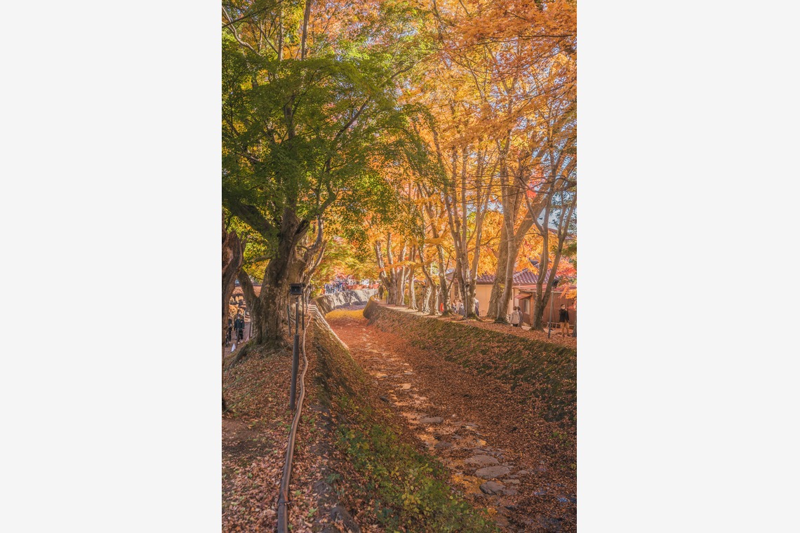 登 将紀が撮影した「観光・風景・旅行」の写真