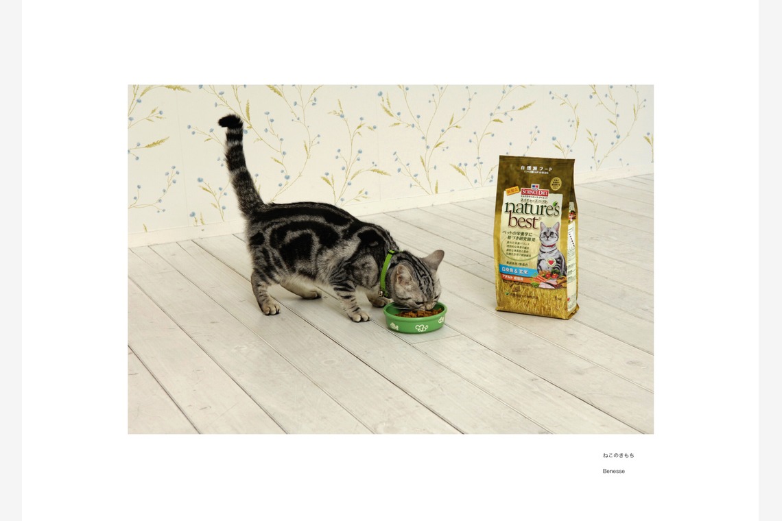 クマが撮影した「ペット撮影」の写真