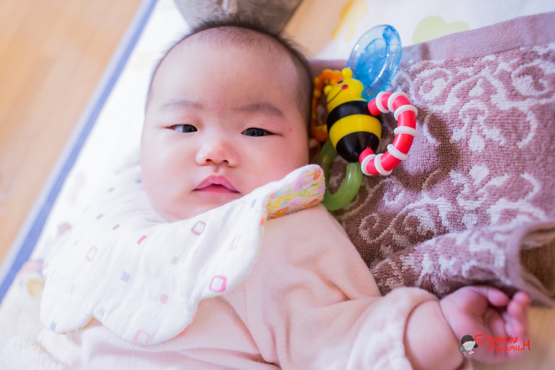 写真スペース　フォトラッシュが出張撮影した家族写真(キッズ,ベビーフォト)などが写った「宇部市出張撮影」の家族写真