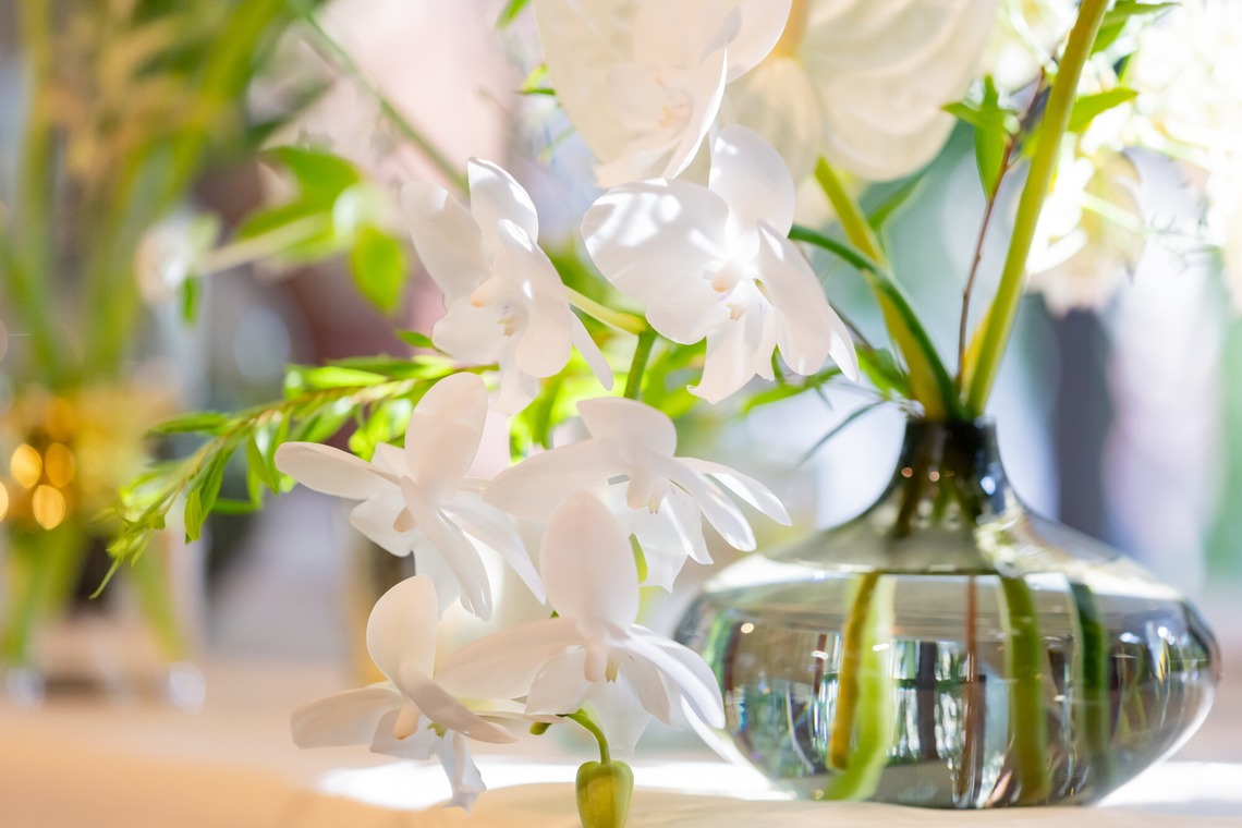 大橋　道裕が撮影した写真のアルバム「ウエディングパーティー撮影」