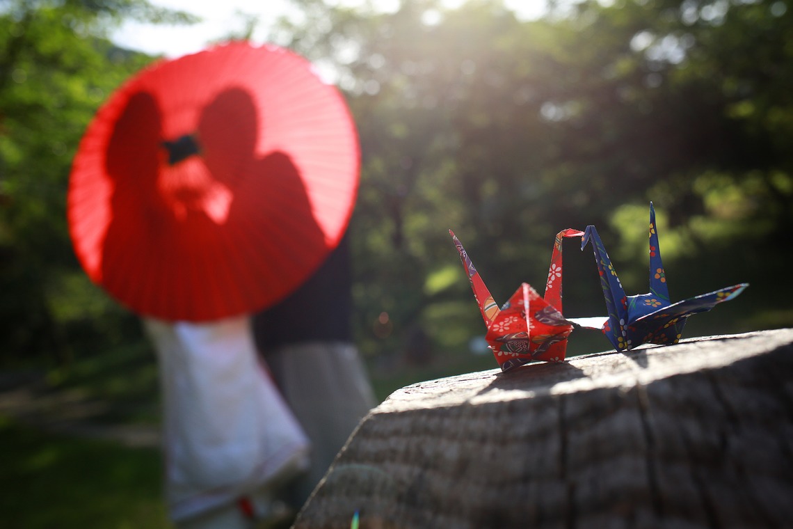 Photo of  taken by Hayashi Photo Works