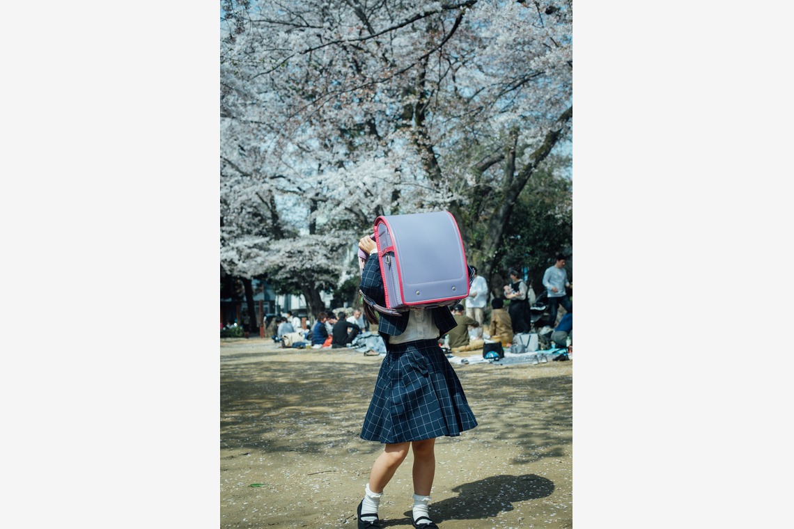 RIE NAGASHIMA photography:)が撮影した「Entrance ceremony of elementary school _2019.04」の写真