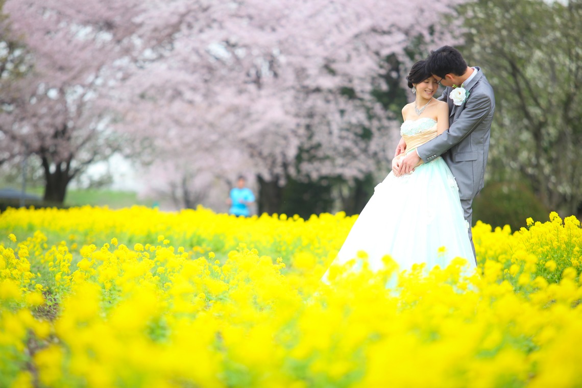 Album of the Wedding, Bridal taken by WEDDING AVENUE - 