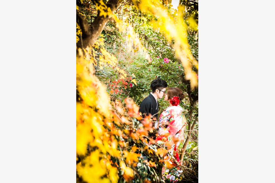 阿部写真館　大阪本町 靭公園前が撮影した写真のアルバム「紅葉」