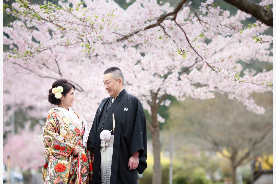 KIKIウェディングが撮影した写真のアルバム「桜　桜　桜」