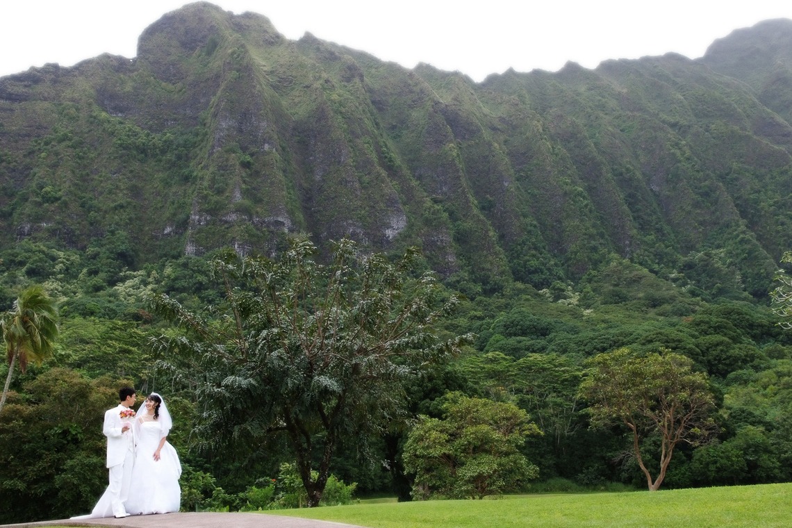 Album of the Wedding, Bridal taken by éclat photography - 