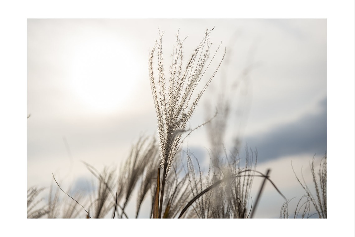 松本写真事務所が撮影した「ポートフォリオ」の写真