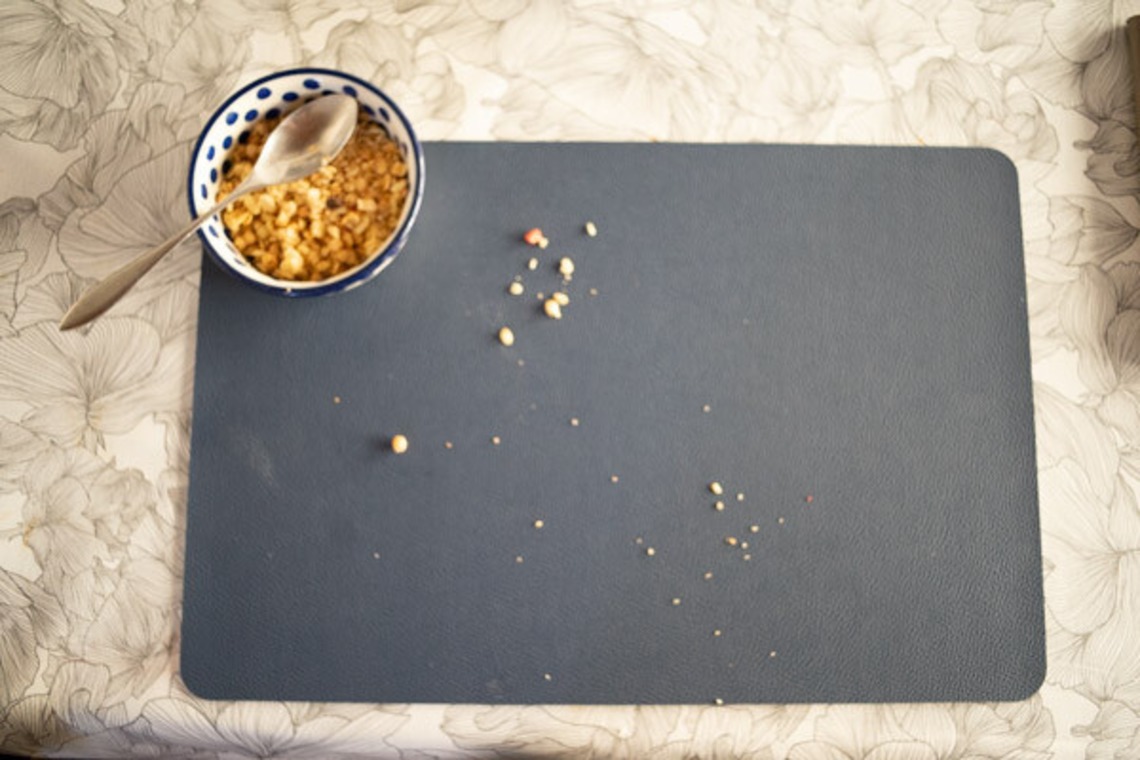 手塚隆弘が撮影した「気ままに」の写真