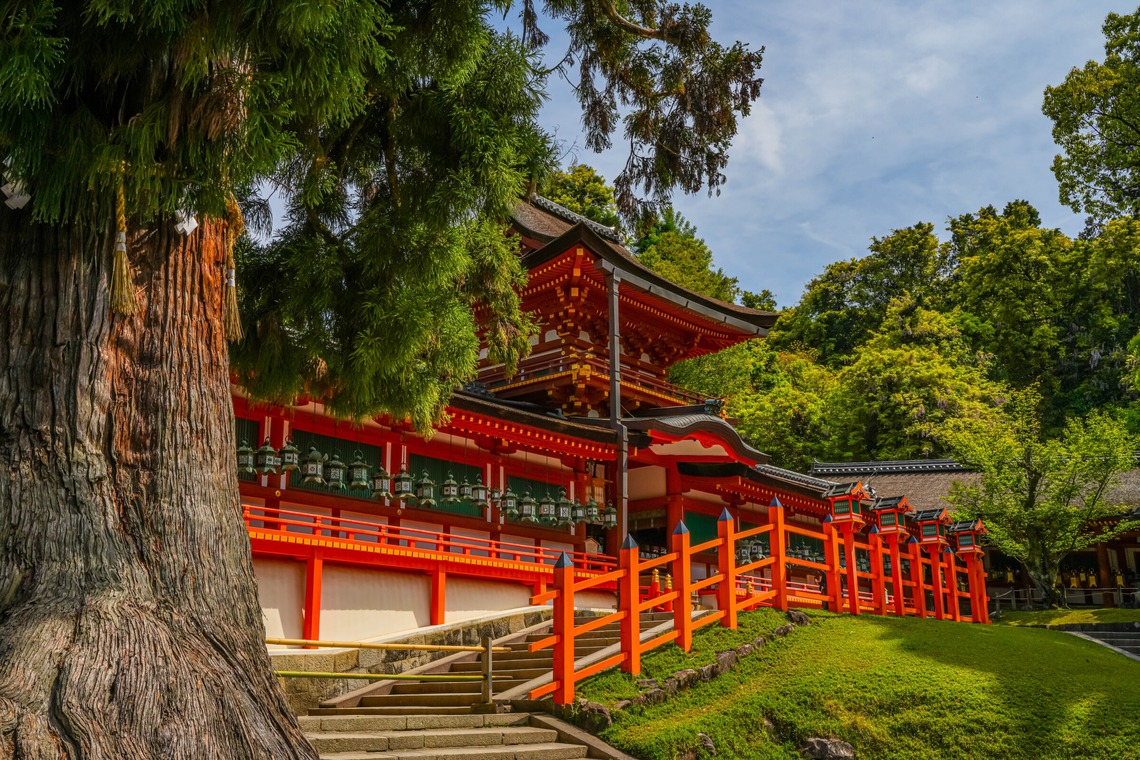 河野慈圓が撮影した「建築関係」の写真