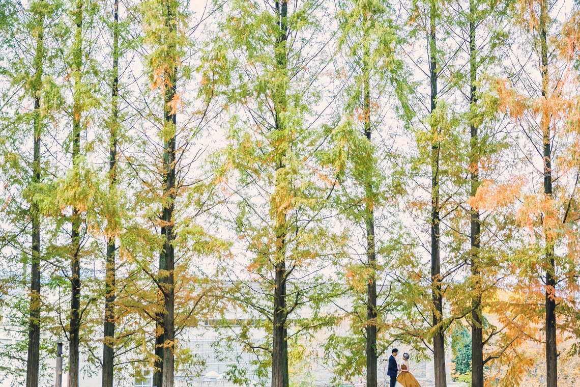 Album of the Wedding, Bridal taken by t_pictures - location_photo