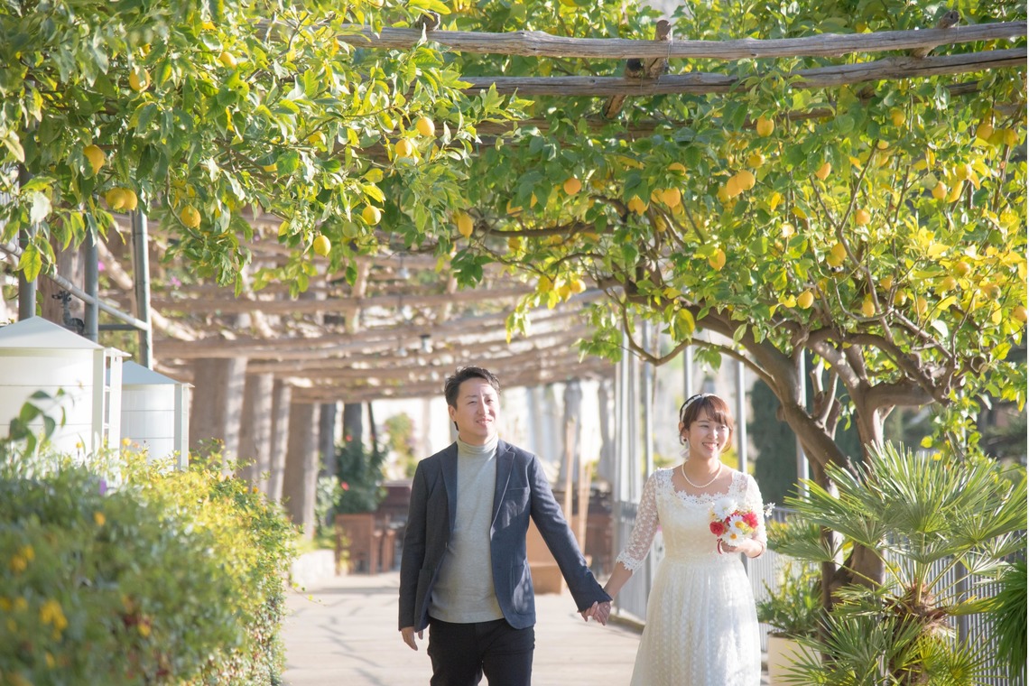 Album of the Wedding, Bridal taken by MOMO - 