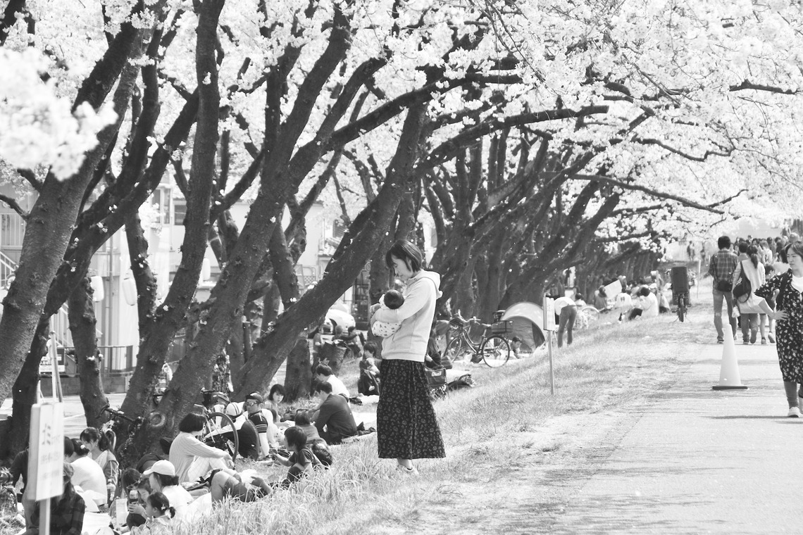 photoartistRYOTAが撮影した「」の写真