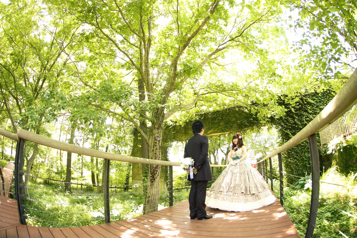 Photo of  taken by PIC WEDDING PHOTO（関口純一）