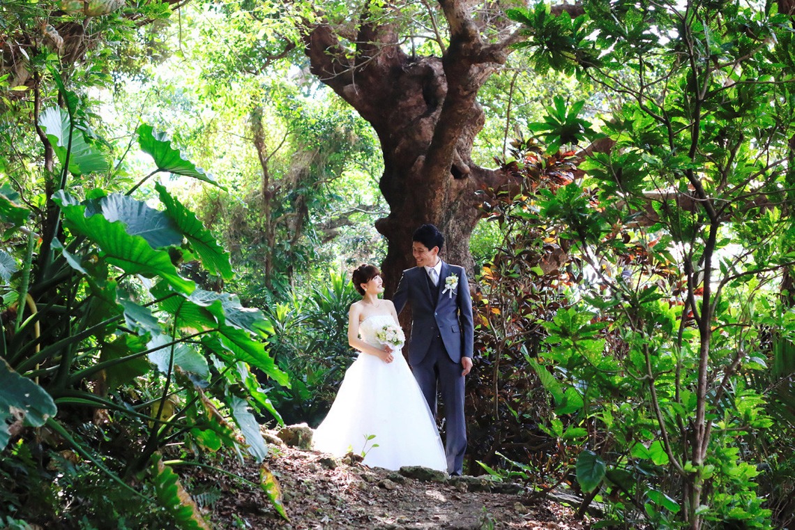 今泉真也が撮影した写真のアルバム「ロケーション陸」