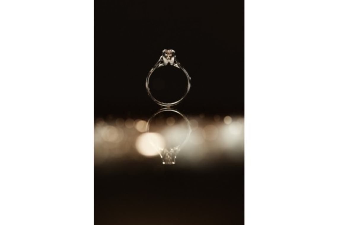 永井茂樹写真事務所が撮影した「フォトギャラリー」の写真