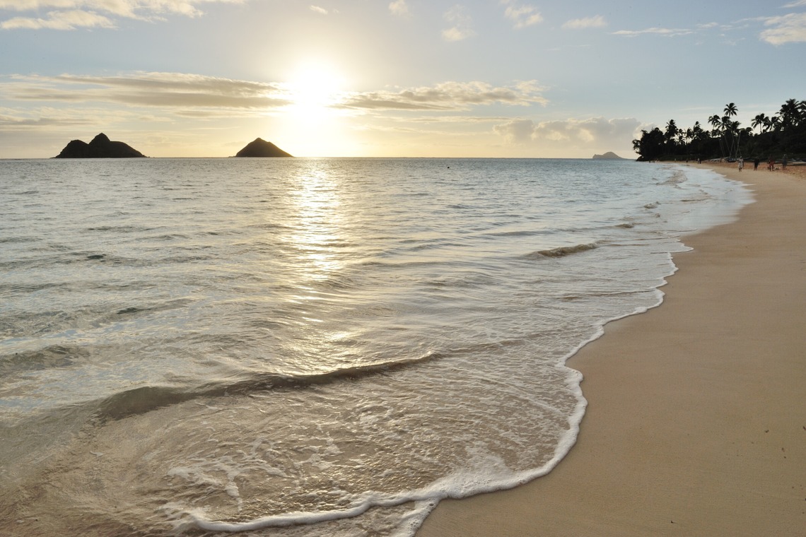 マイクロコズム合同会社