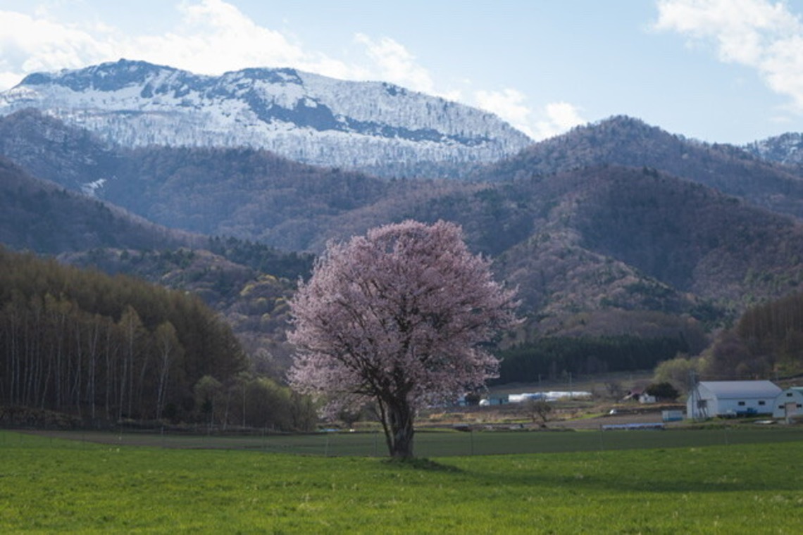 芳賀 翔大が撮影した「北海道」の写真