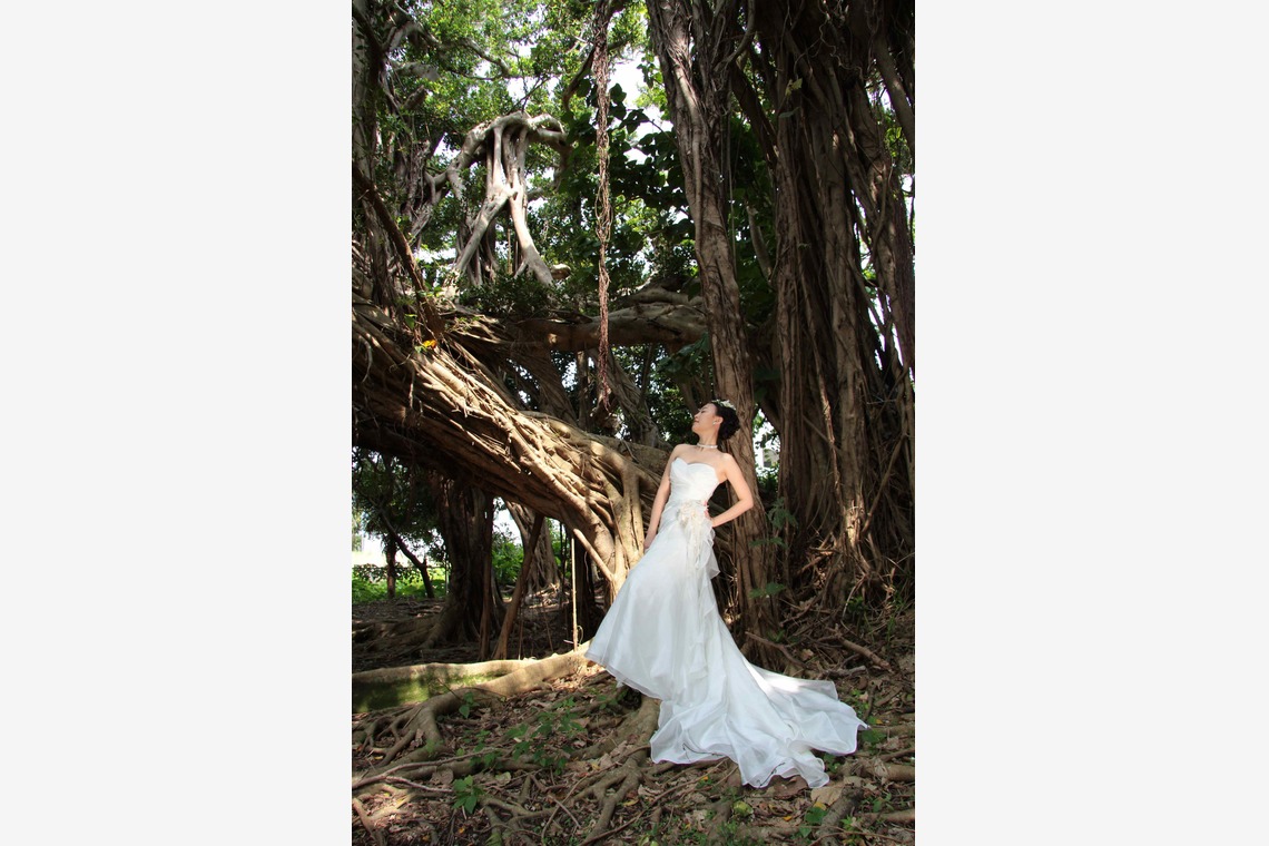 ウエディングラウンジが撮影した写真のアルバム「アマゾンガーデンフォト沖縄」