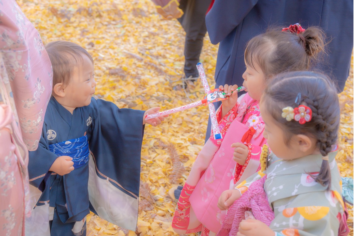 太刀川迪杜が撮影した写真のアルバム「七五三」