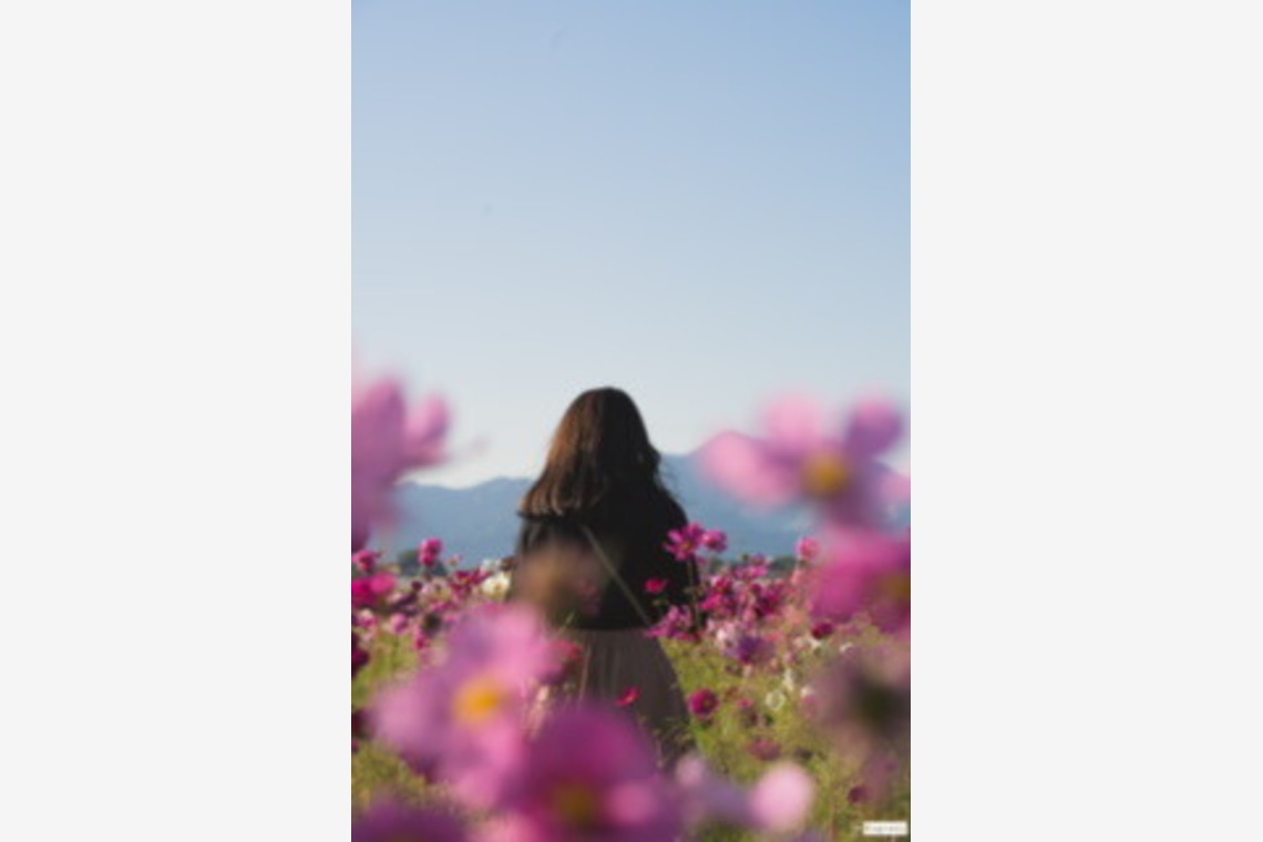 堀田佳資が撮影した写真のアルバム「ポトレ」