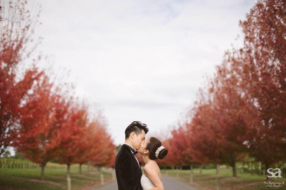 Album of the Wedding, Bridal taken by SA WEDDING STUDIO  - メルボルンプレウェディング（秋）