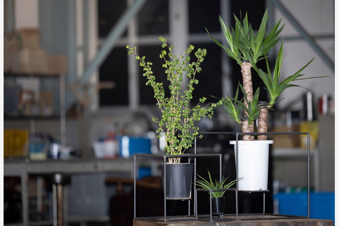 梅田　紫邑が撮影した「物撮り撮影」の写真