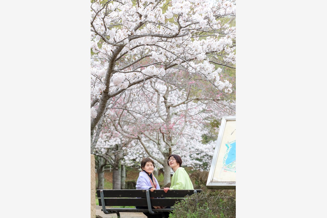 なかがわさとみが出張撮影した家族写真(キッズ,ベビーフォト)などが写った「桜と親子で記念撮影」の家族写真