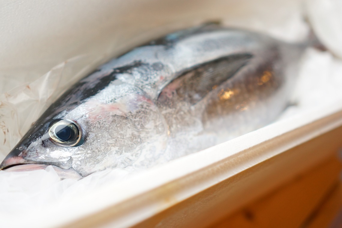 出張撮影のメモリーズが撮影した「宣材-アラカルト」の写真