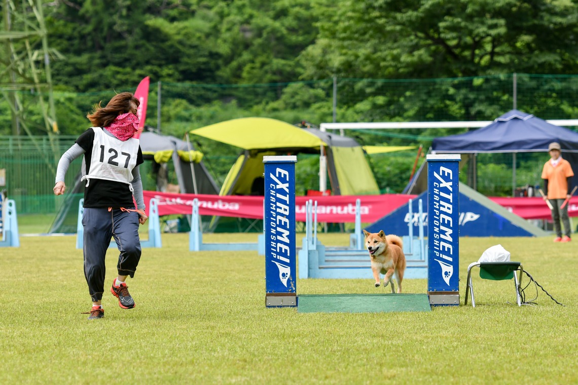 スタジオファンタスが撮影した「ドッグスポーツエクストリーム」の写真
