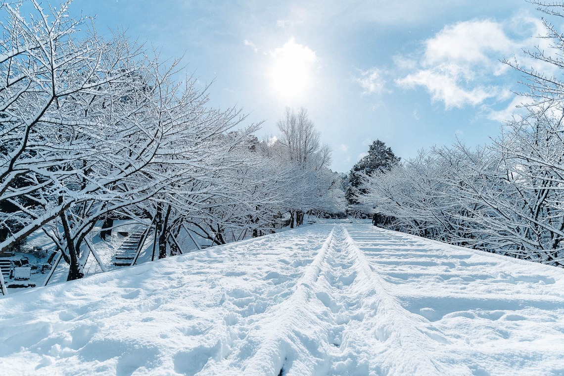三谷 朋也が撮影した「日本の風景」の写真