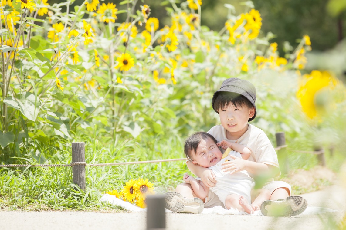 スタジオミルク