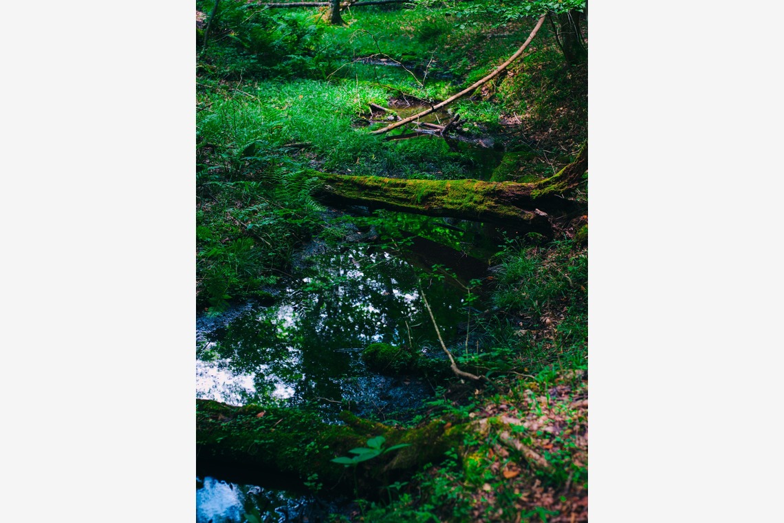 ATELIER SO_MARUが撮影した「企業案件」の写真