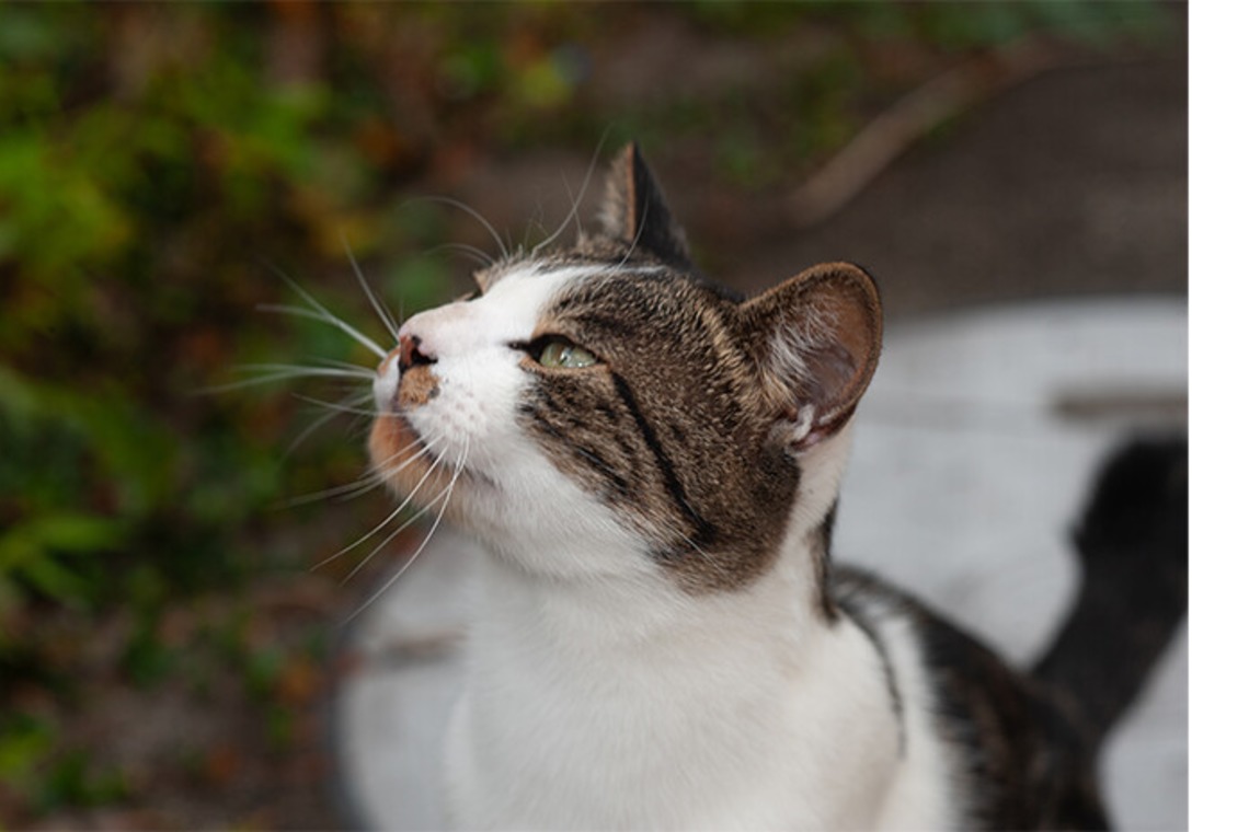 十時写真事務所