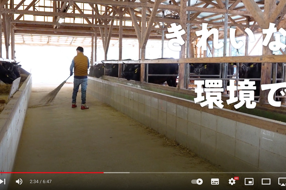 Castella Designが撮影した「YouTube動画」の写真