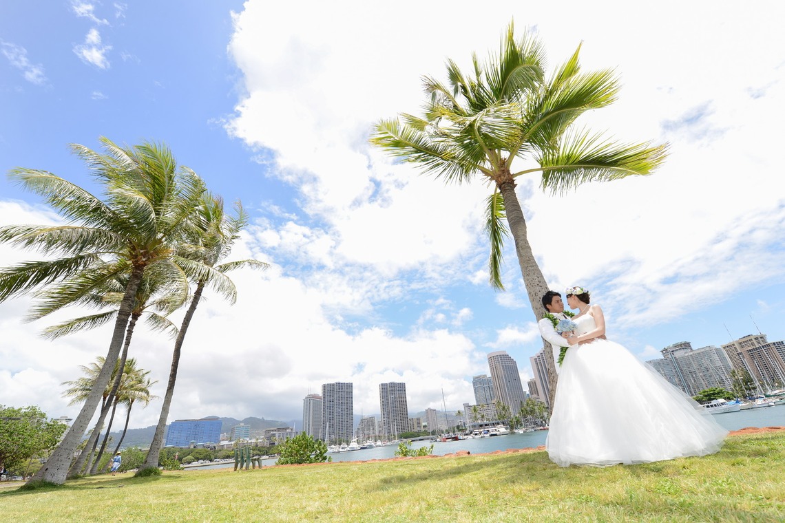 Album of the Wedding, Bridal taken by CINEVIE - 